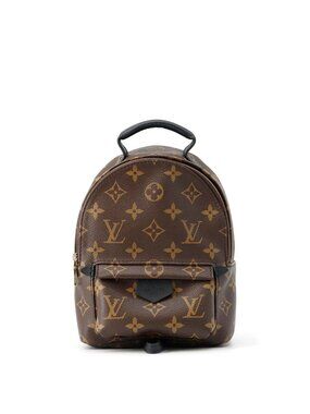 Louis Vuitton Monogram Palm Springs Backpack Mini Bag